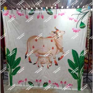 Backdrop Cloth