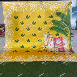 Backdrop Cloth